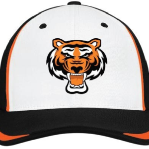Services – CNY Rawlings Tigers